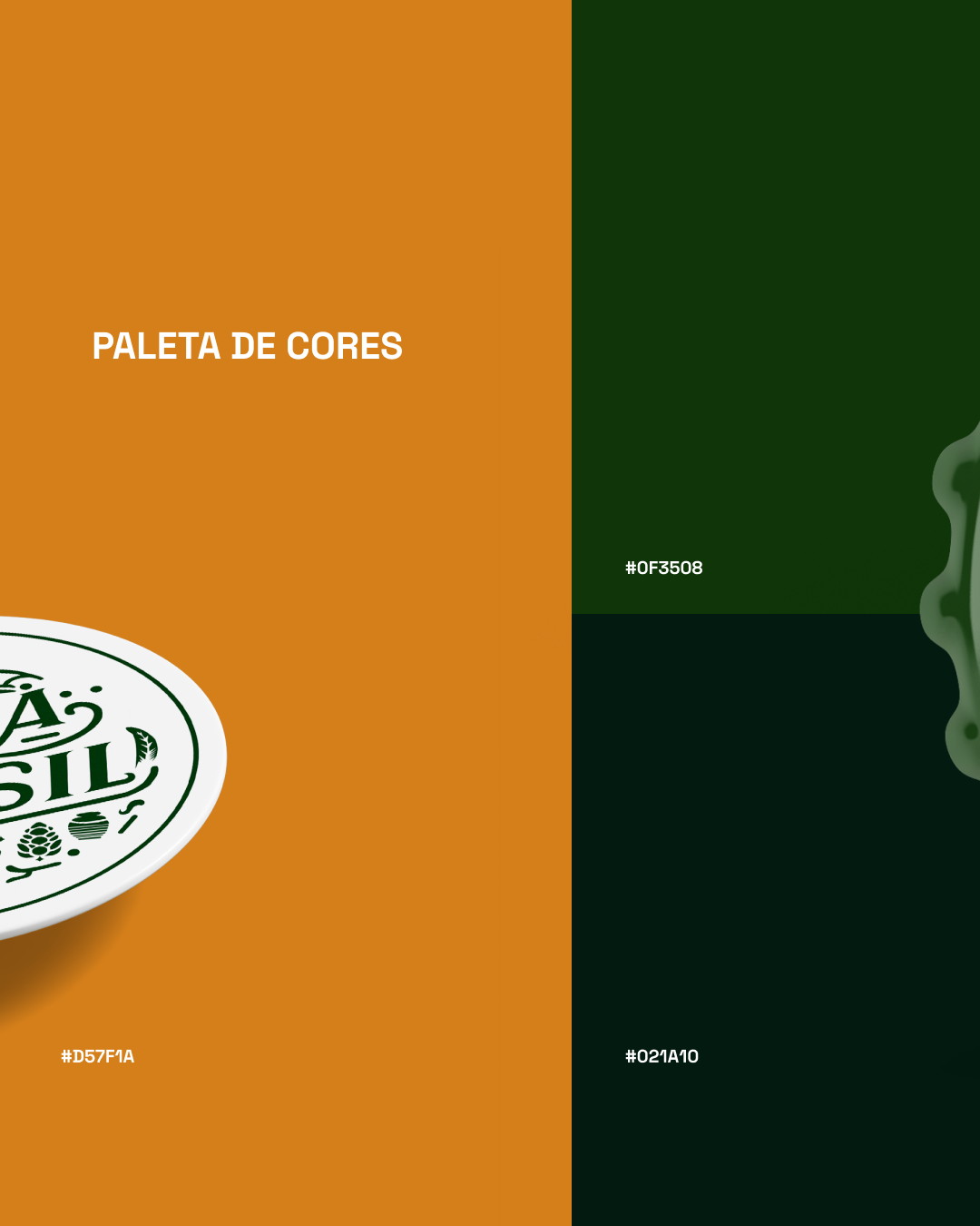 Paleta de cores Casa Brasil